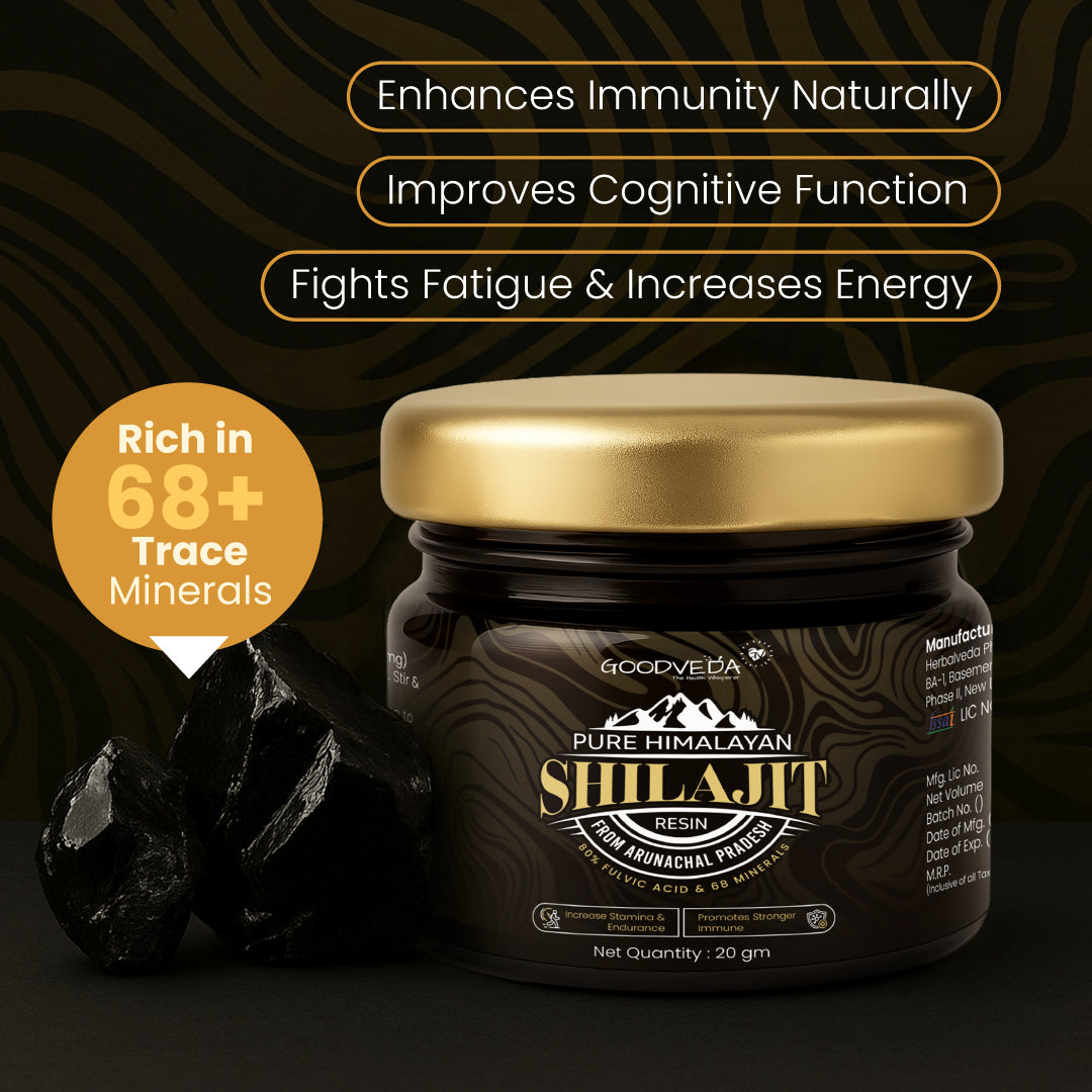 Goodveda Himalayan Shilajit Resin - Pure Power from Arunachal’s Peaks