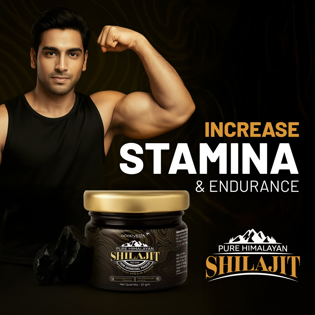 Goodveda Himalayan Shilajit Resin - Pure Power from Arunachal’s Peaks