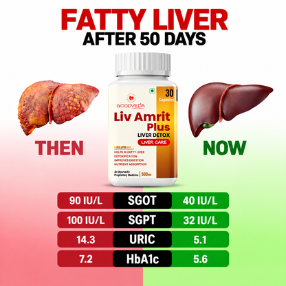 Liv Amrit Plus: Ultimate 9-in-1 Liver Detox Formula for Cleansing, Repair & Resilience