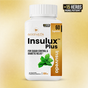 Insulux Plus | Renewed Ayurvedic Formula for Healthy Blood Sugar Support. Best Results in Up to 70 Days